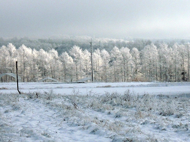 b0122448_21552272.jpg