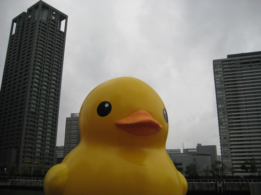 a0237349_08384807.jpg