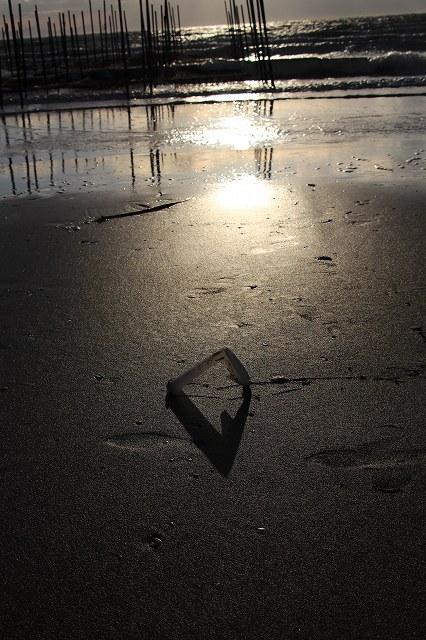 f0288049_22213513.jpg