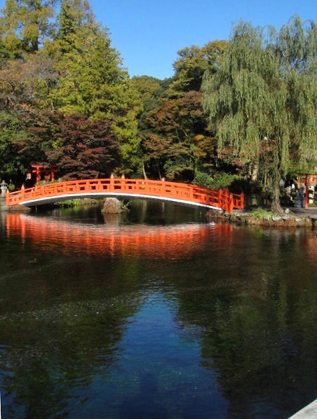 c0119160_1154763.jpg