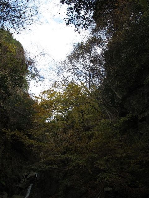e0307372_15012063.jpg
