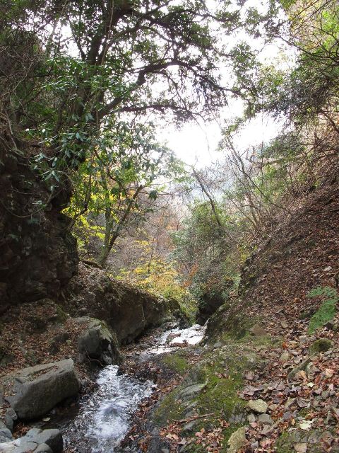 e0307372_15013826.jpg
