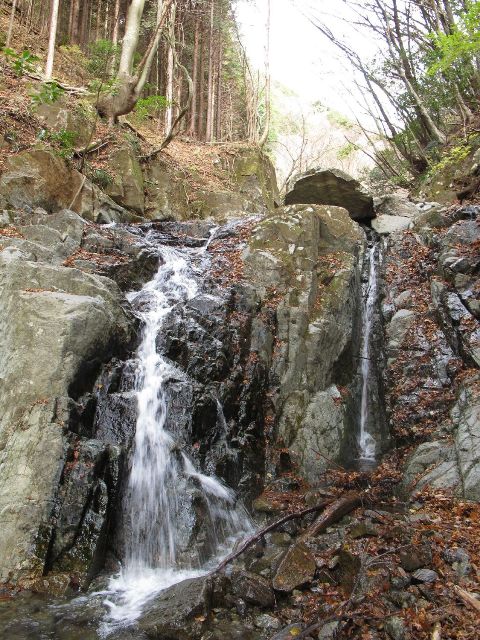 e0307372_16043925.jpg
