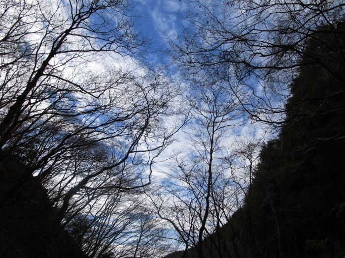 e0307372_16115025.jpg