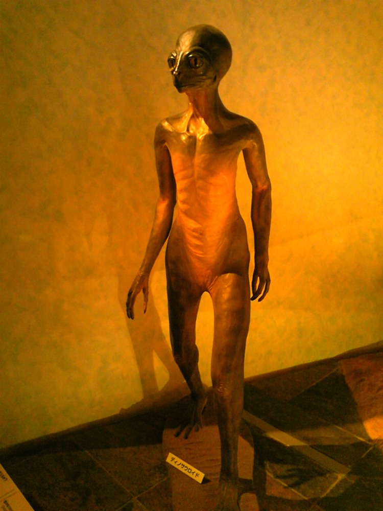 e0118274_20263758.jpg