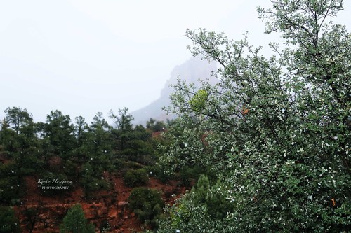e0148185_601844.jpg