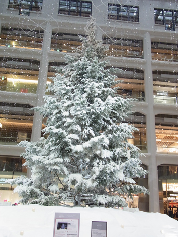 a0128290_23132695.jpg