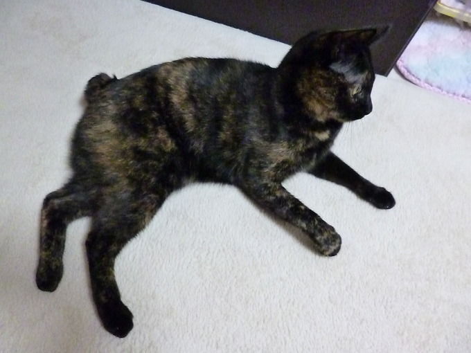 f0305995_1191783.jpg