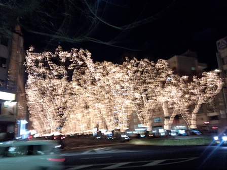 f0284409_1093979.jpg
