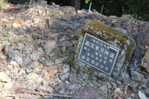 e0101917_17134090.jpg