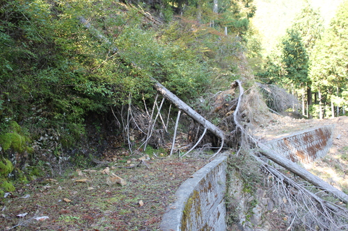 e0101917_1725273.jpg