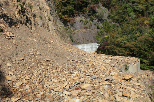 e0101917_17452173.jpg