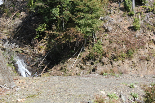 e0101917_18344997.jpg