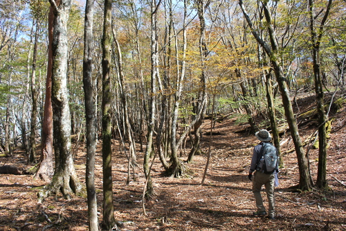 e0101917_18595416.jpg