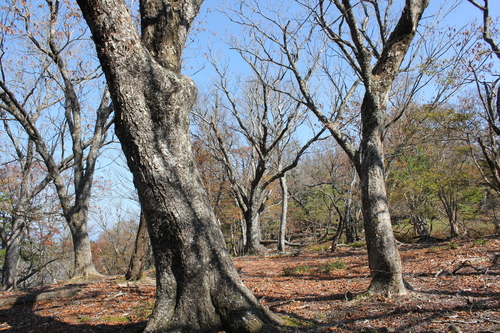 e0101917_19103977.jpg