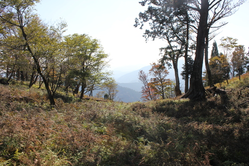e0101917_1913734.jpg