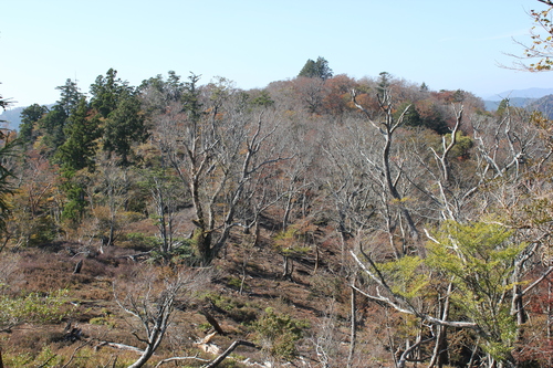 e0101917_19351169.jpg