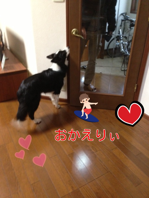 a0232619_16314766.png