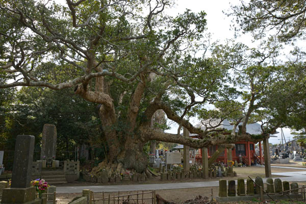 f0147025_22251539.jpg
