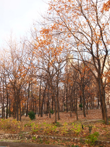 c0188928_2131269.jpg
