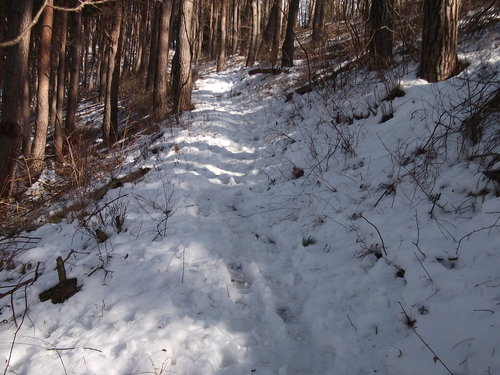 f0304030_23255559.jpg