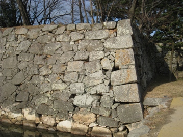 c0077338_22132168.jpg