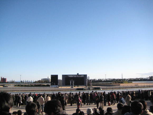 f0247039_19544882.jpg