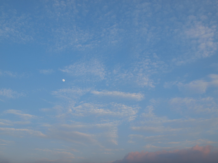 c0281841_16312966.jpg