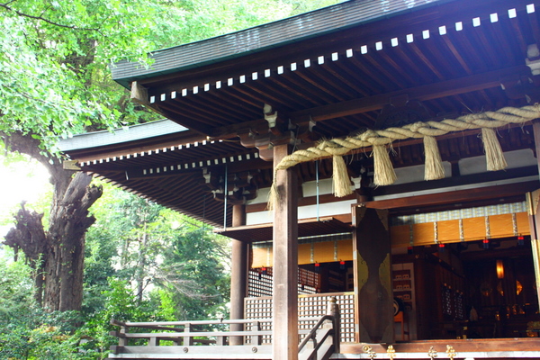 f0307146_132548.jpg