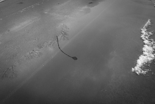 d0169755_17231323.jpg