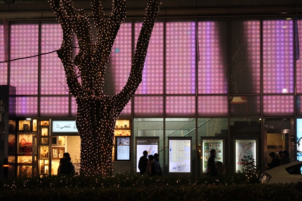 b0138661_2324548.jpg