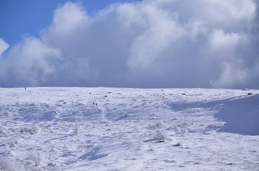 a0202688_22443095.jpg