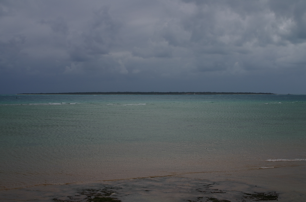 d0176289_20272111.jpg