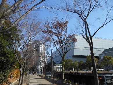 a0137294_132862.jpg