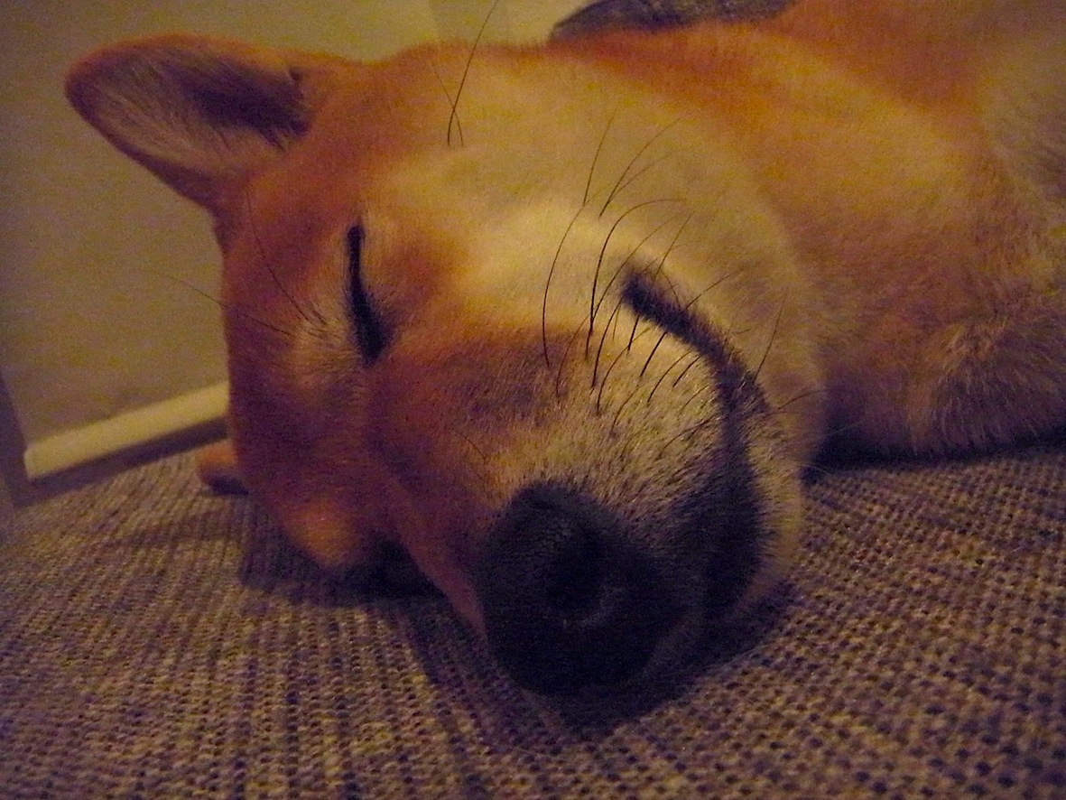 a0200299_23265682.jpg