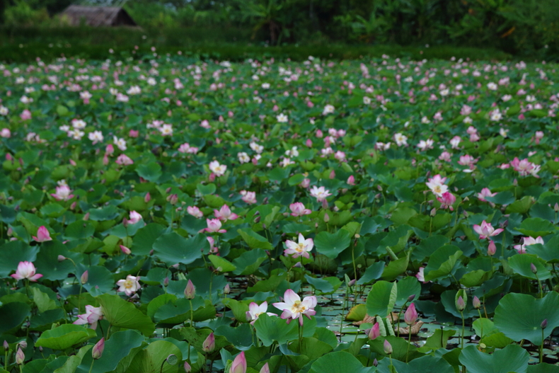 c0248100_04651.jpg