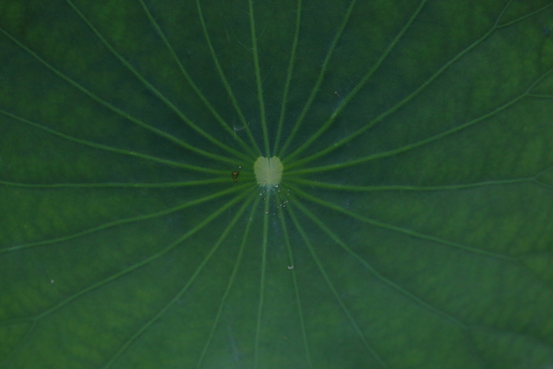 c0248100_049024.jpg