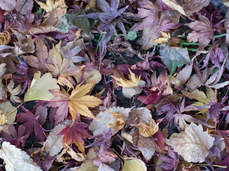 f0224100_2215548.jpg