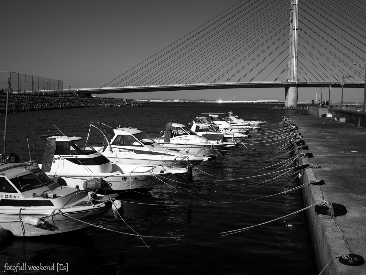 b0138101_21554952.jpg