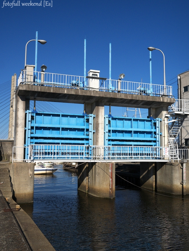 b0138101_21565278.jpg