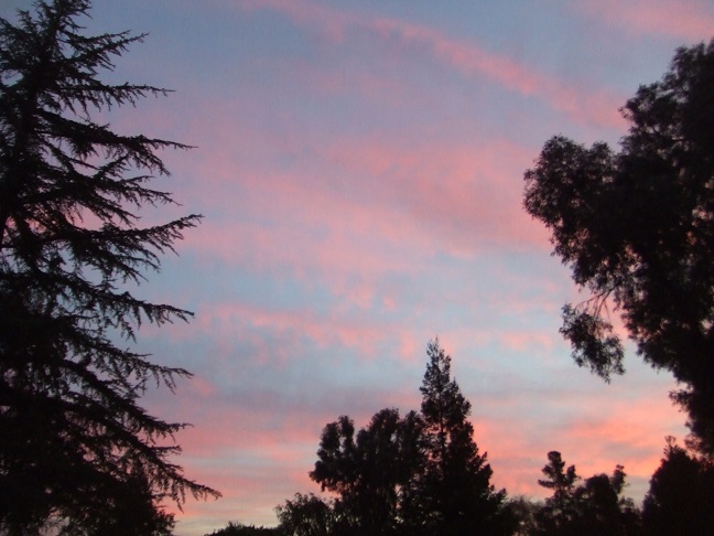 b0198033_10382076.jpg