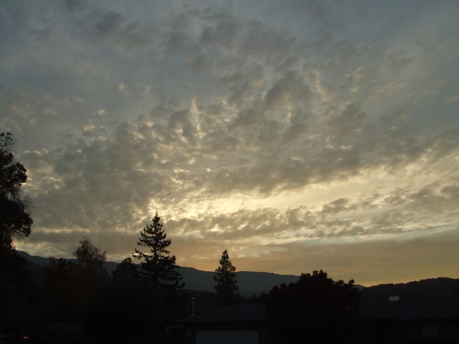 b0198033_10433284.jpg