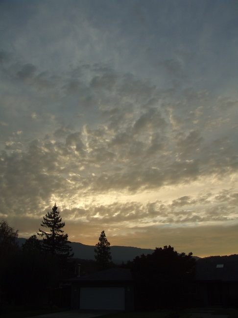 b0198033_1044219.jpg