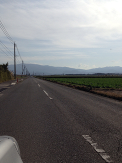 d0088735_1528040.jpg