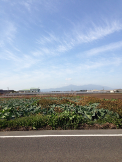 d0088735_1528067.jpg