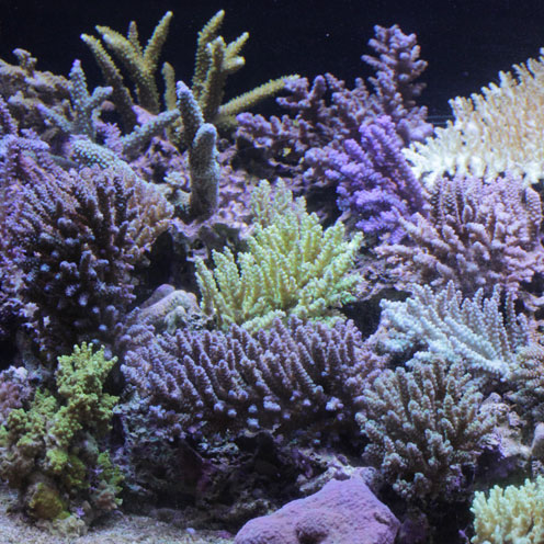 d0221436_23332959.jpg