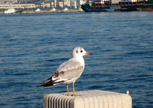 b0178339_22293731.jpg