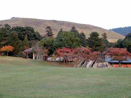 a0100742_925092.jpg