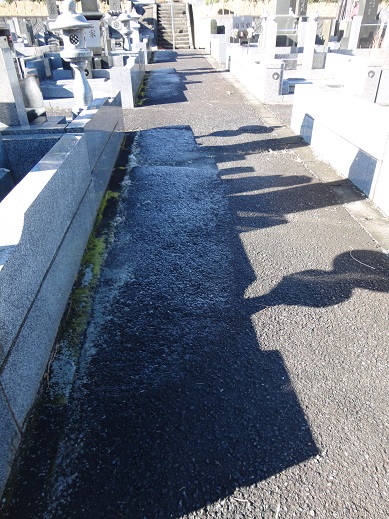 e0201748_15273284.jpg