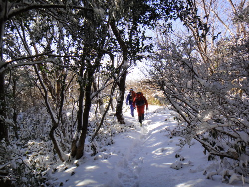 c0179351_957955.jpg